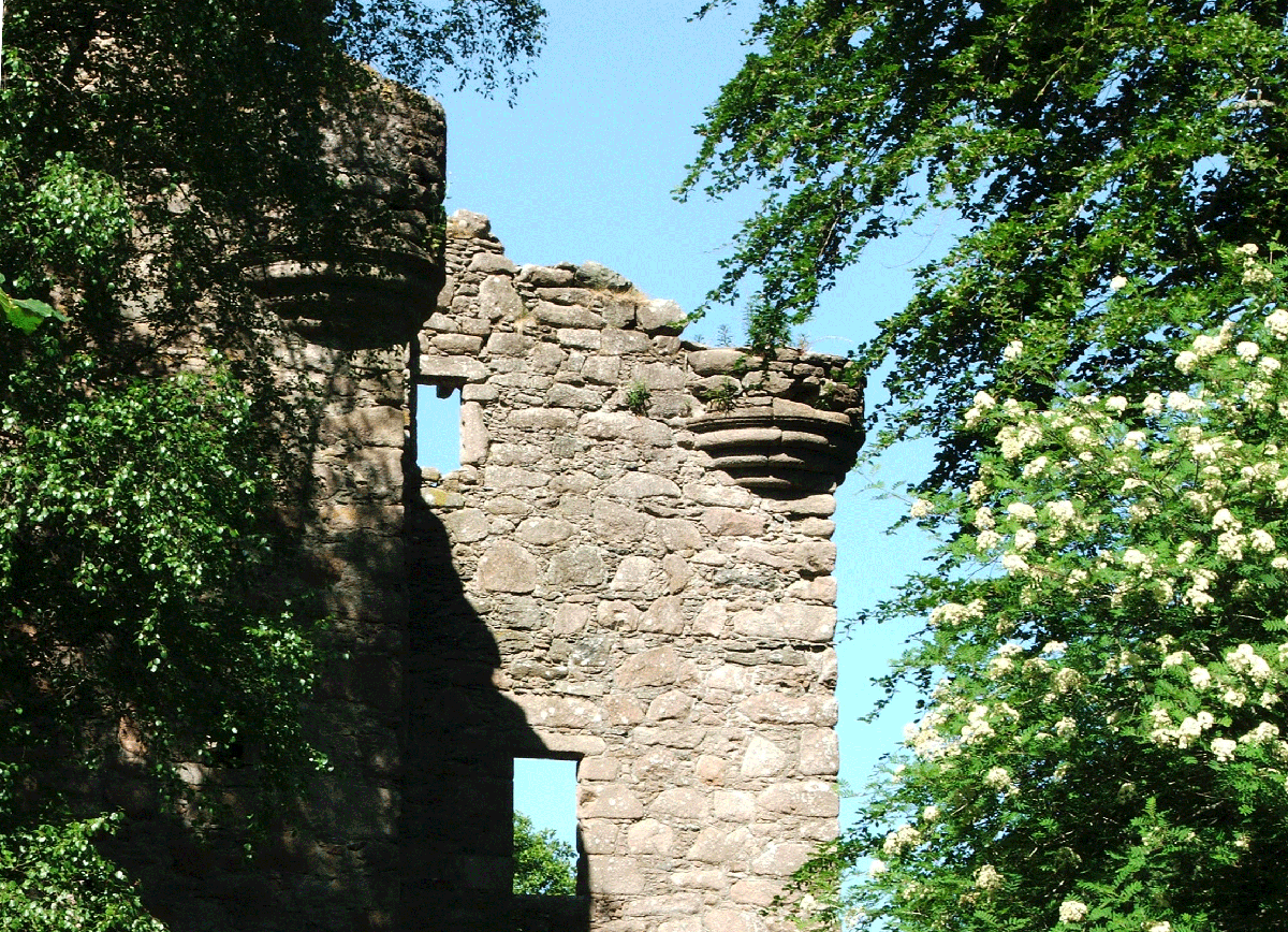 Corse O'Neil Castle